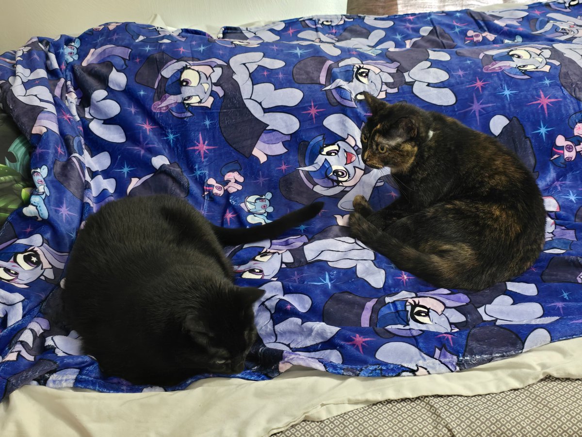 <a href="/rubiowolf/">🦄RubioWolf🪡🧵🔜 PVCF</a> <a href="/MoozuaMary/">Moozua</a> <a href="/EverfreeNW/">Everfree Northwest</a> High quality! Verified by my two little demons.