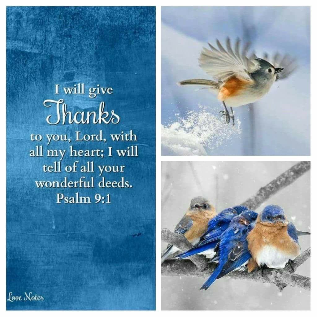 I will give thanks to you, LORD, with all my heart; I will tell of all your wonderful deeds. 
Psalm 9:1 💙🧡🕊️
