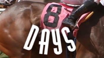 Lone Star Park (@lonestarpark) on Twitter photo The Fall Meeting of Champions begins in just EIGHT days!
The horses are ready, are you? The Fall Meeting of Champions begins in just EIGHT days!
The horses are ready, are you?