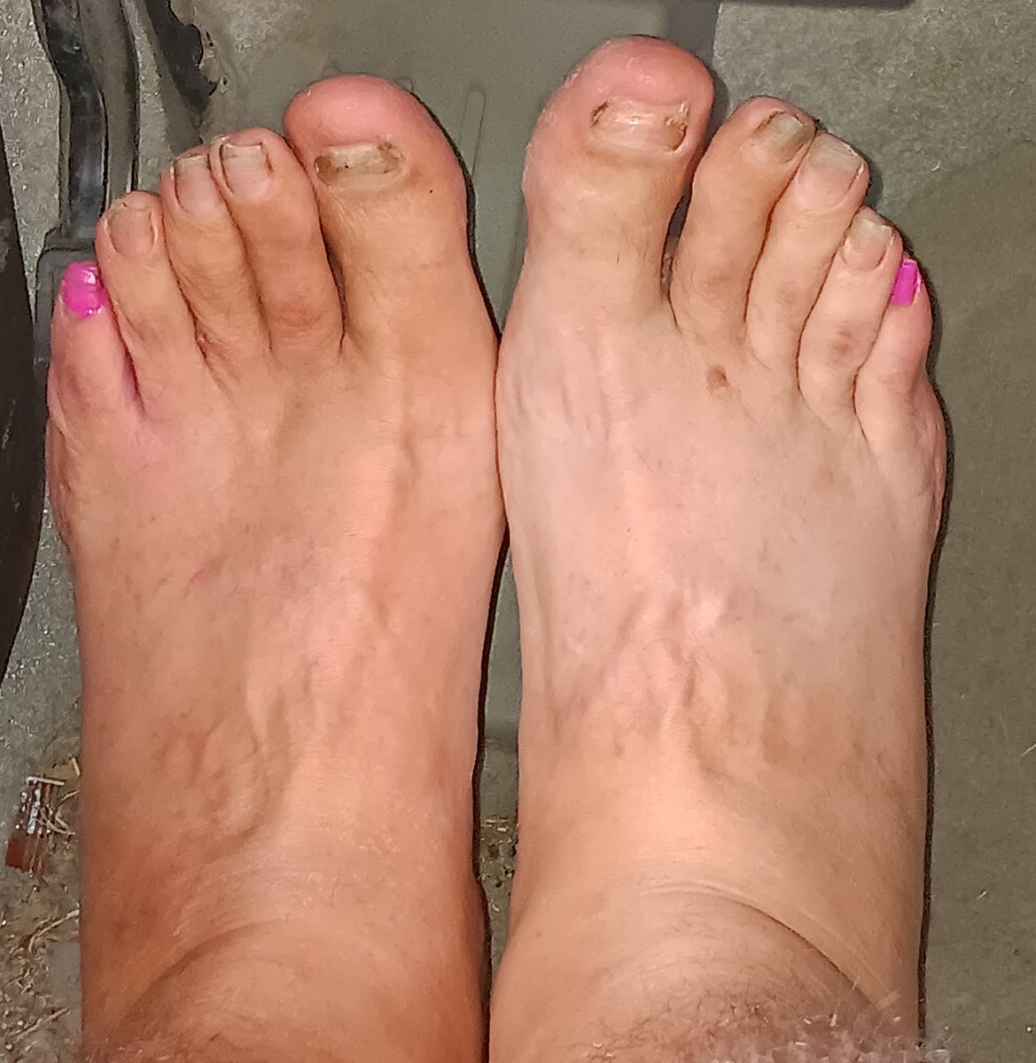 AwesomeEmily405's tweet photo. If someone sends $50 for a chastity cage to $SOSDS11, I will have hubby shave his legs and finish painting his nails, video included. https://t.co/e3sDYRoC0m