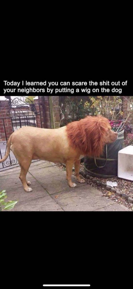 Has anyone tried this.