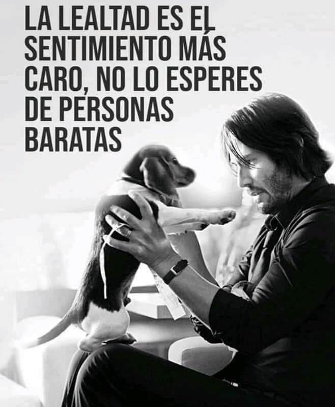 JorgeLuisRR1963's tweet photo. ESO ES CORRECTO! https://t.co/0A67ODnOd1