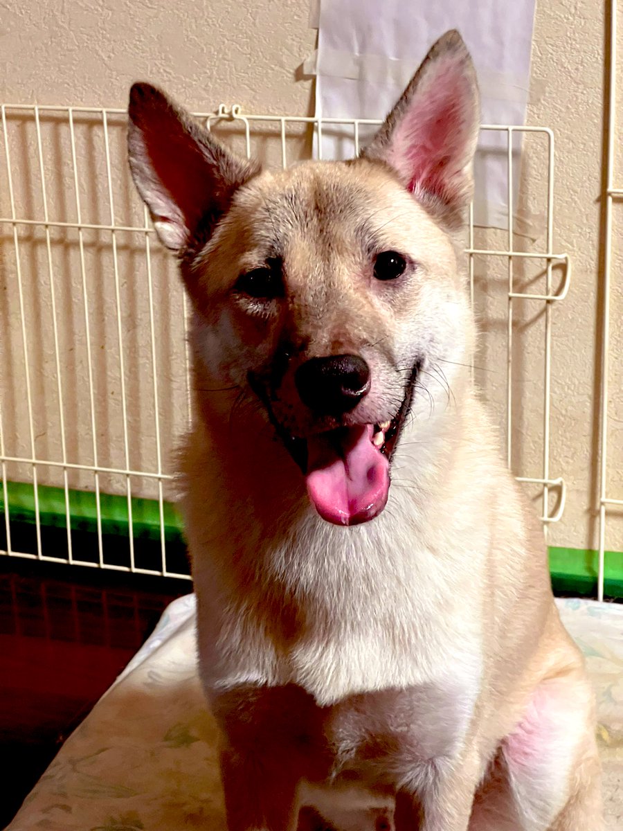 GOOD MORNING
本日のリキさん♪