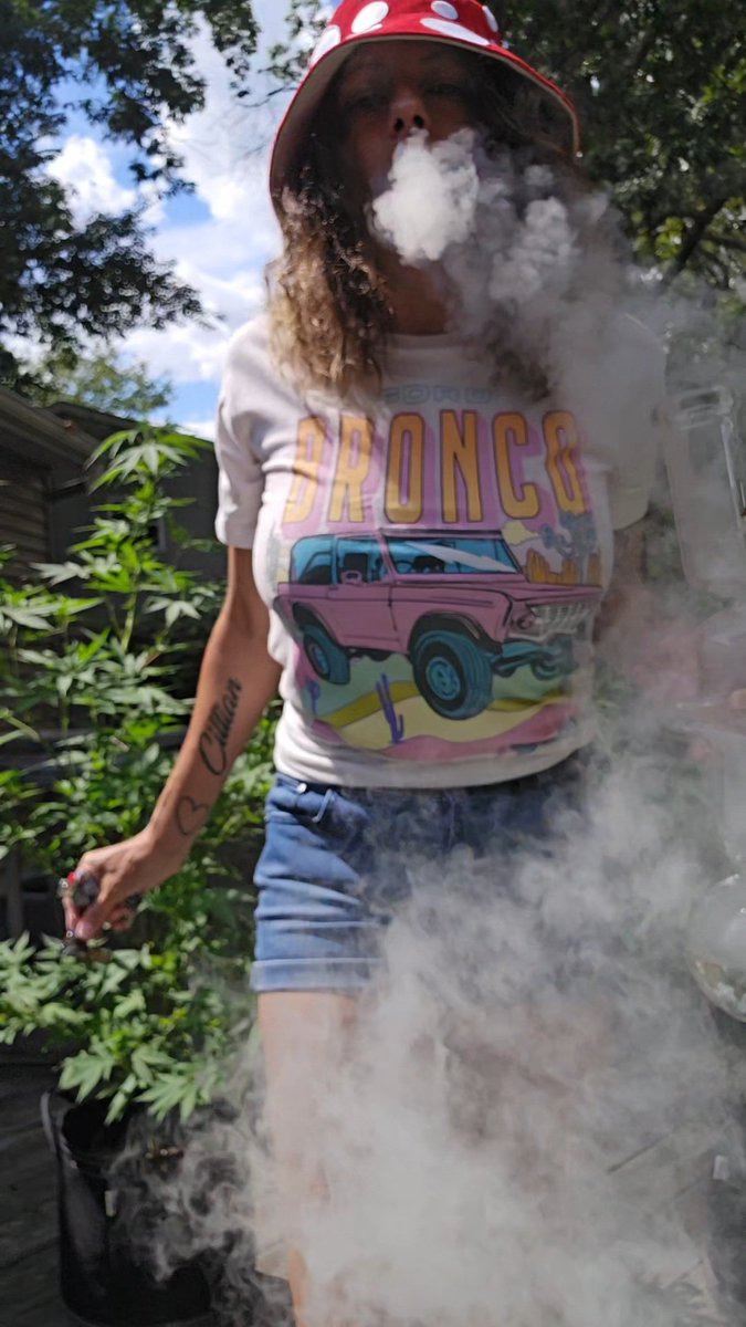 Rasta Kitty tweet media