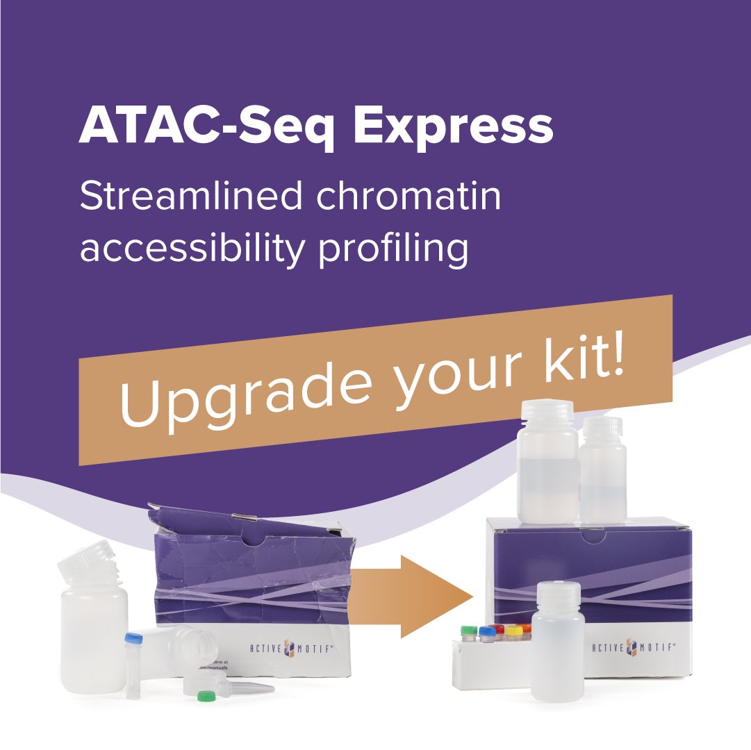 activemotif's tweet photo. Upgrade to our new ATAC-Seq Express Kit and fast track your chromatin insights today! 🤩
Check it out➡️ https://t.co/PVhstiezCI
#ATACSeqExpress #SuperiorAssays #EpigenomicsMadeEasy https://t.co/gP4pSrnVSu