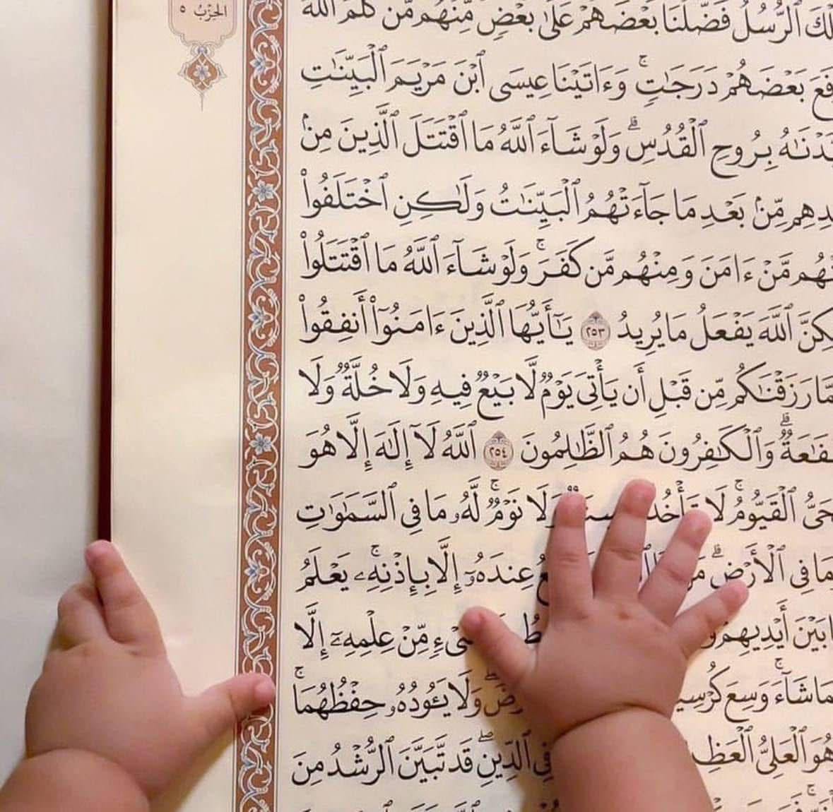 مشهد أحب أعيشه عما قريب..
رَبّنا هب لنا في عفوٍ منكَ وعافية