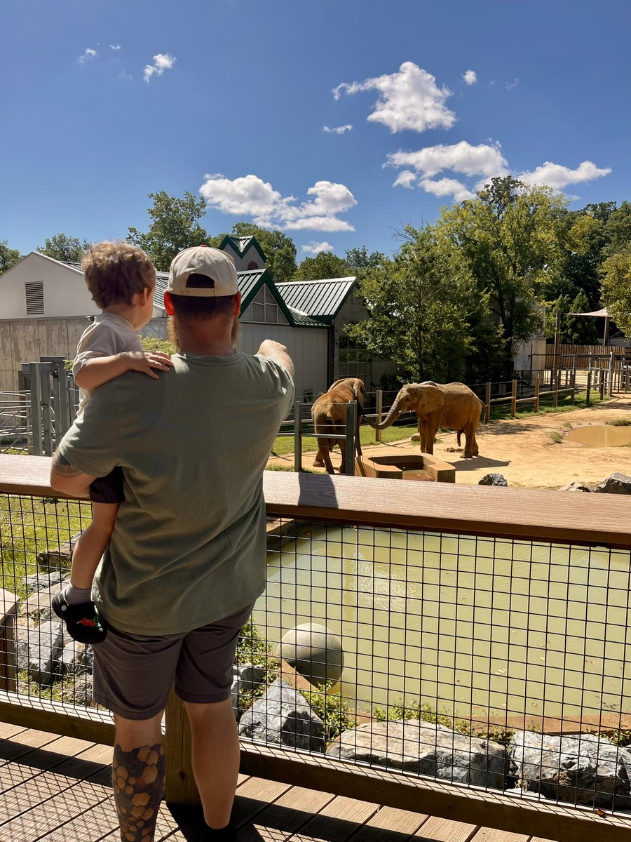 iGhostArb's tweet image. Thankful I can decide to not work on a random Wednesday in August and make memories with my family ❤️

I know not everyone can be an “entrepreneur” but if you can and make enough to provide for your family… it’s so worth it

[not pictured because I’m a jackass: the best momma…