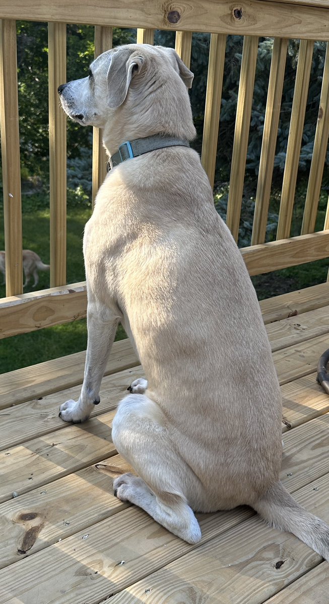 stickboy24's tweet photo. Why is theo looking like he is contemplating his life up till this point https://t.co/ffolYbrLQn