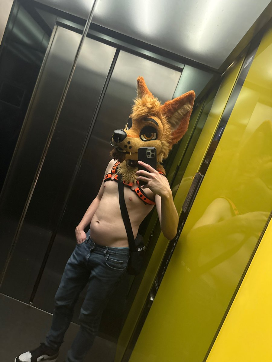 A Yote Called Tau tweet media