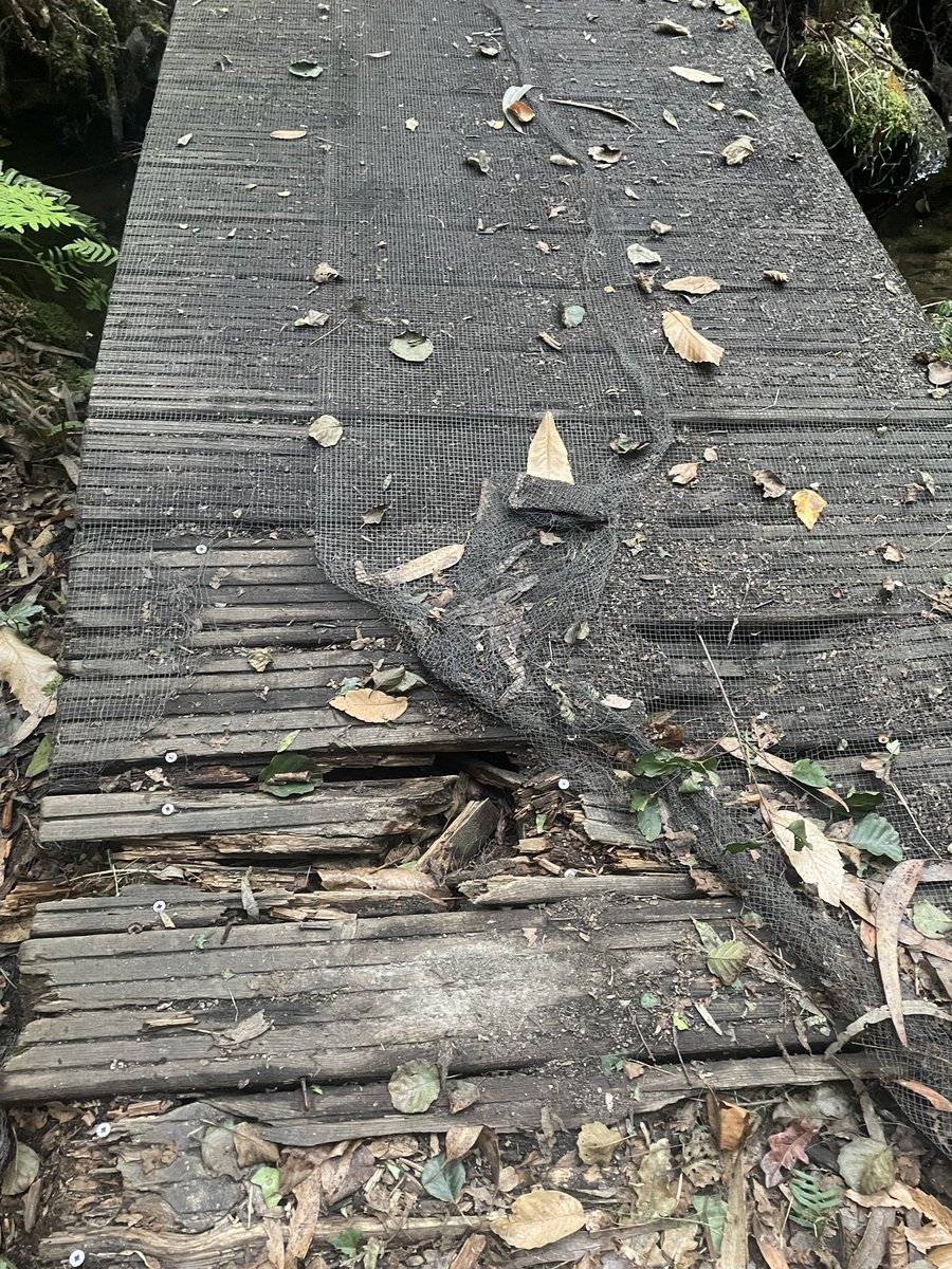 Hola <a href="/ConcCulleredo/">Concello Culleredo</a> <a href="/PSdeGCulleredo/">PSdeG PSOE Culleredo</a> <a href="/culleredobng/">Culleredo BNG</a> 
<a href="/MASporCulleredo/">Más X Culleredo</a> 
Sería posible darlle unha voltiña o sendeiro que descurre polo Rego das Xesteiras en Celas? Supón un verdadeiro risco o estado das pasarelas de madeira que en calquera momento acabaran por lesionar a alguén!