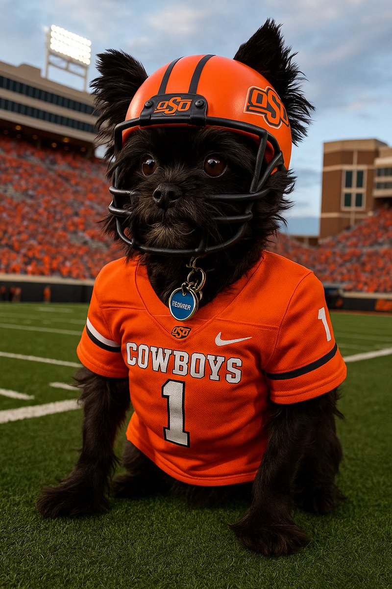 Put her in coach, she’s ready for Cowboy Football! 🏈  #gopokes #okstate