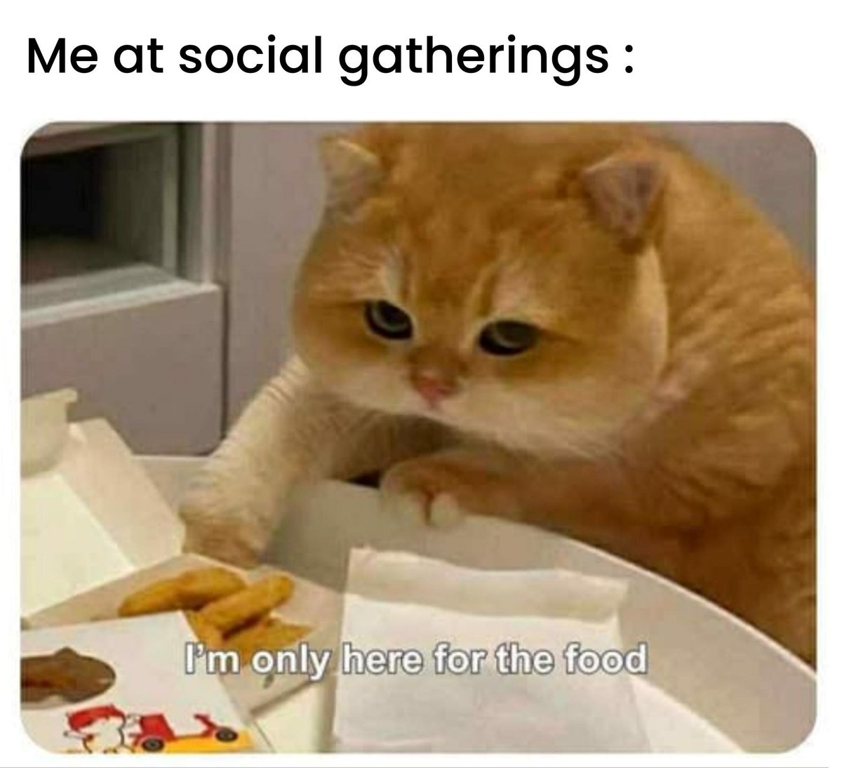 Samurai Nasuth Cat🎆🎇 tweet media