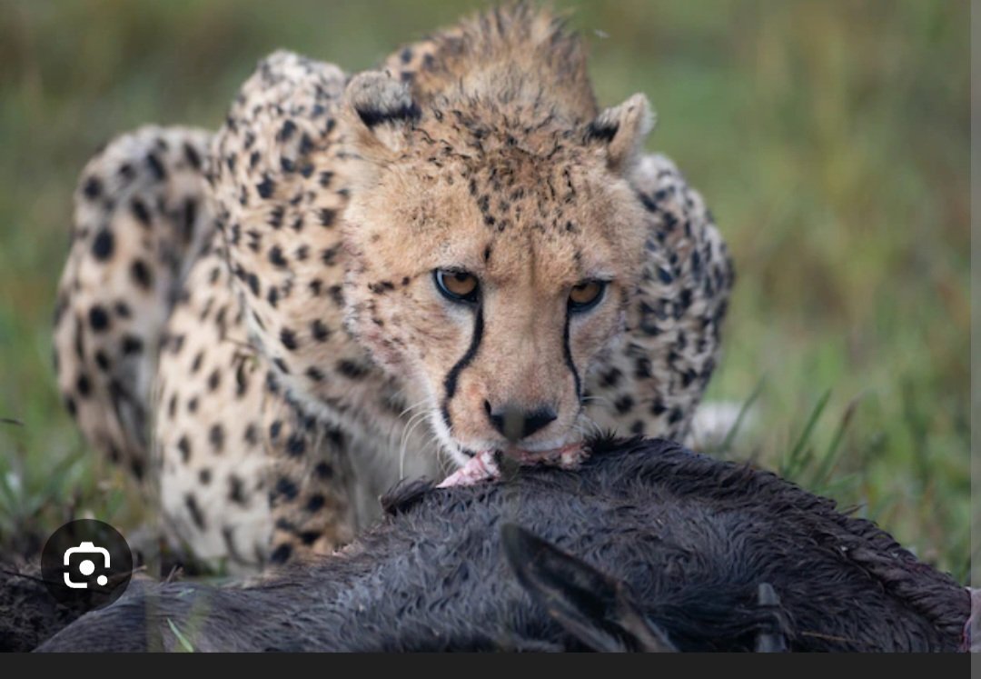 Pretty Lou 🙇🏽‍♂️🇵🇭 🇺🇸🙏🏾 (@rcatayas) on Twitter photo 