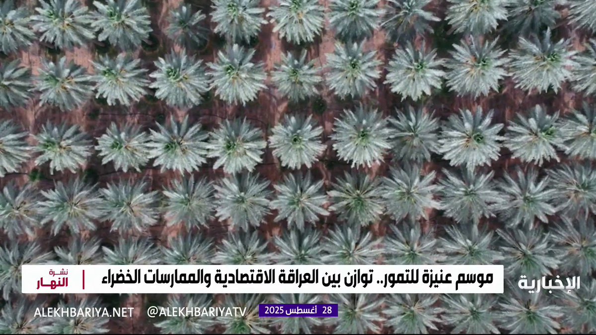 موسم عنيزة للتمور.. قصة نجاح عالمية في الاستدامة الزراعية #الإخبارية موسم عنيزة للتمور.. قصة نجاح عالمية في الاستدامة الزراعية #الإخبارية