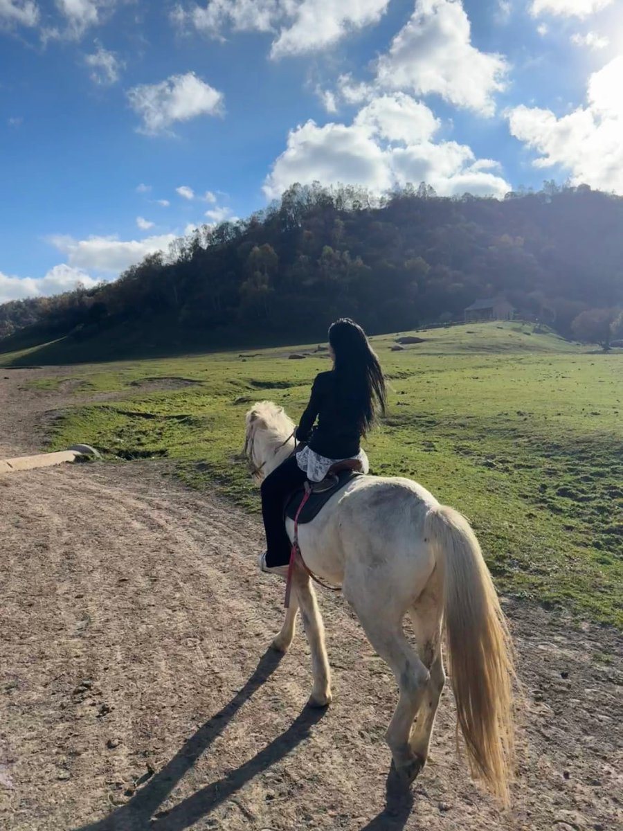 Uncommonswift's tweet image. Lost in the magic of the open trail 🐎✨ With the wind in my hair, the sun kissing my face, and the rhythmic gallop beneath me, I’m reminded that freedom isn’t a place – it’s a feeling. 🌿☀️