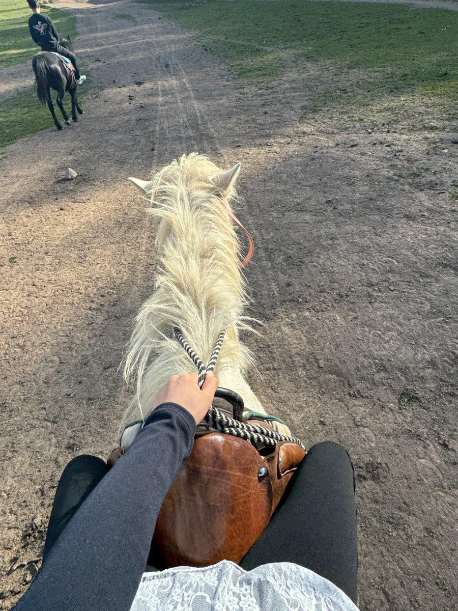 Uncommonswift's tweet image. Lost in the magic of the open trail 🐎✨ With the wind in my hair, the sun kissing my face, and the rhythmic gallop beneath me, I’m reminded that freedom isn’t a place – it’s a feeling. 🌿☀️