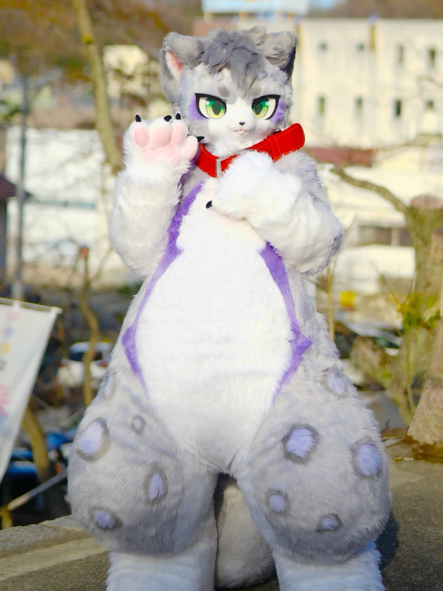 また遊ぼうね！
#FursuitsFriday