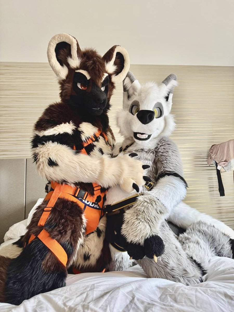 We'll be around #megaplex tomorrow!
Come say hi 👀 we won't bite.…

Well, you never know! 😏