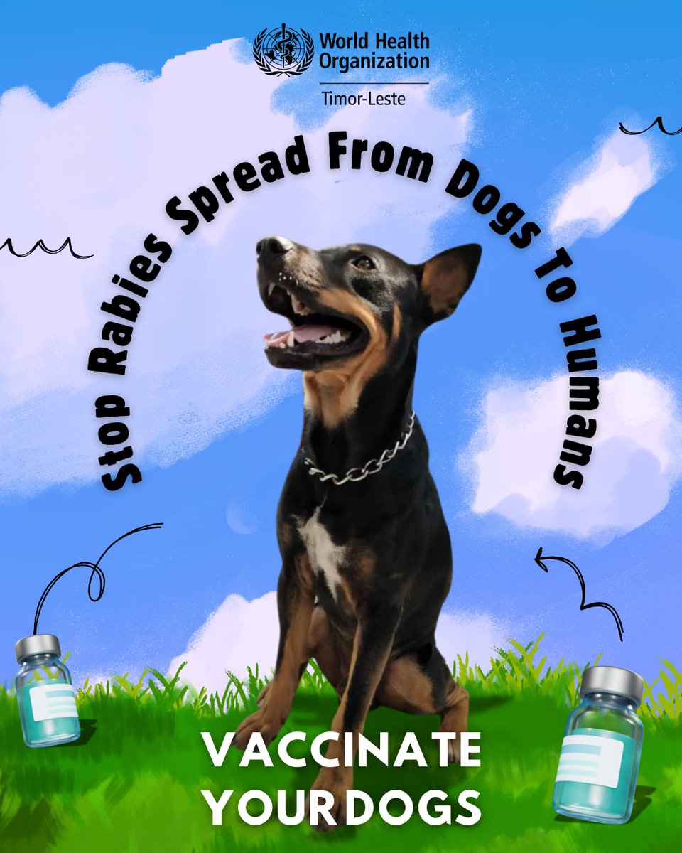 Dogs are more than pets, they are our friends. #Rabies is dangerous, but we can stop it. Keep your dogs and other pets safe, give them their rabies vaccine! #TimorLeste