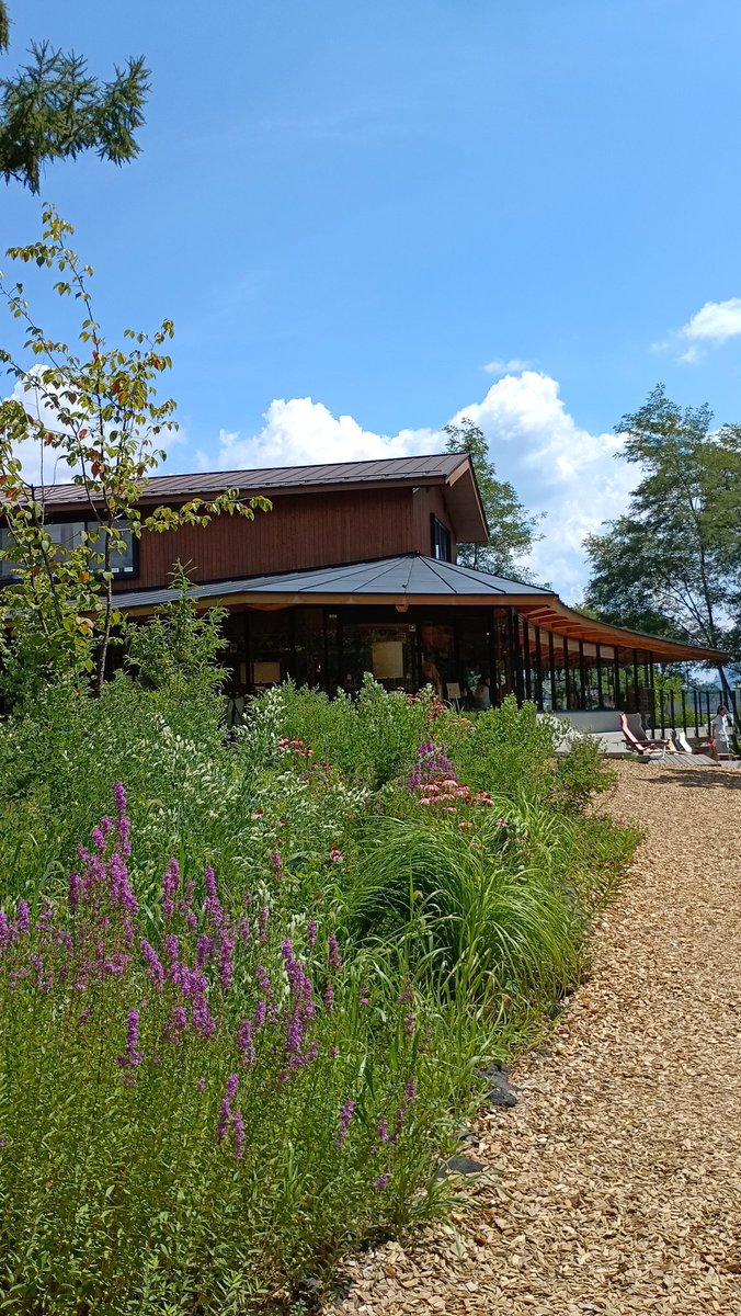 秋は来るのかな…
芸術の秋
読書の秋
秋を迎えに行ってみては？🌿
9/1（月）まで
軽井沢書店中軽井沢店にて