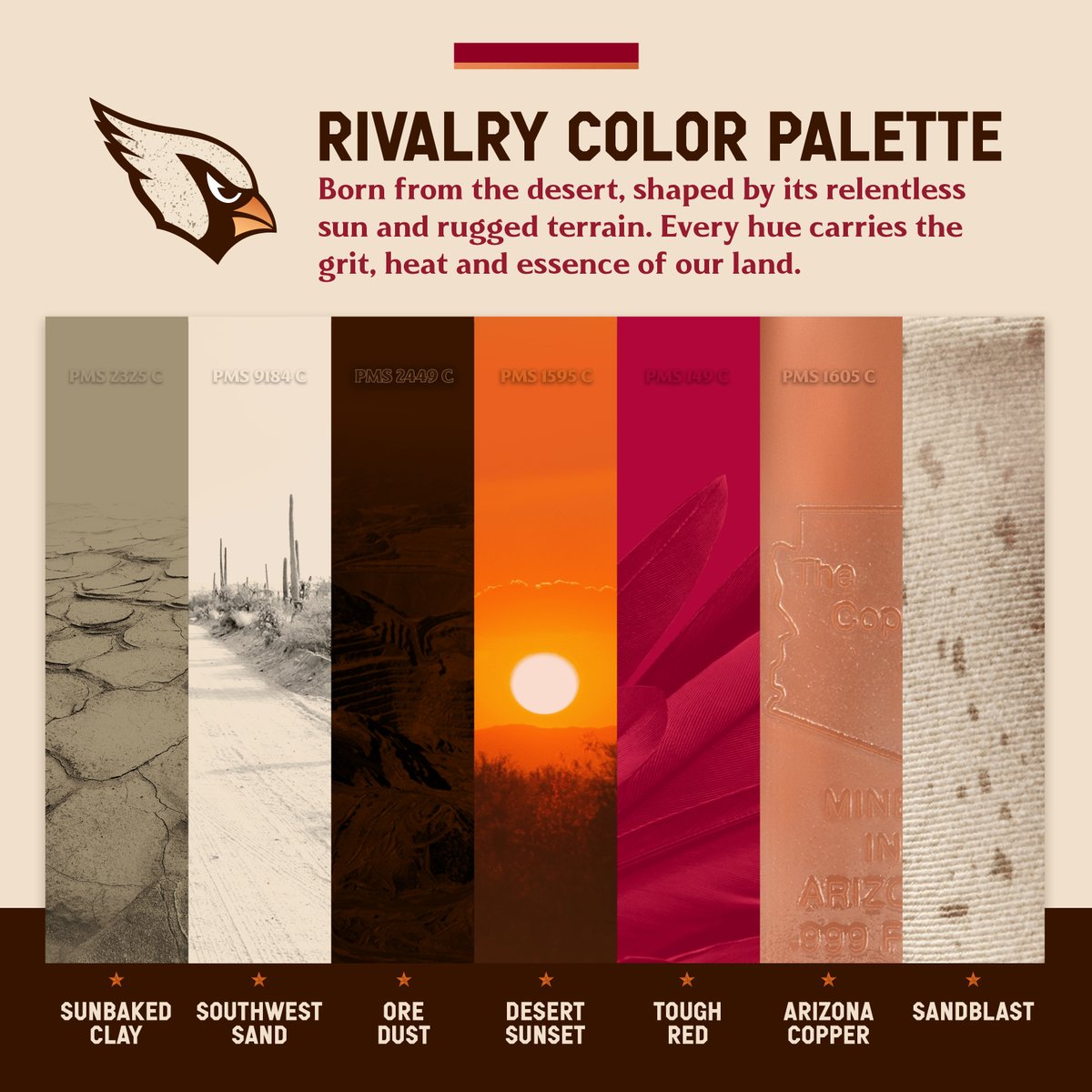 Arizona Cardinals tweet media