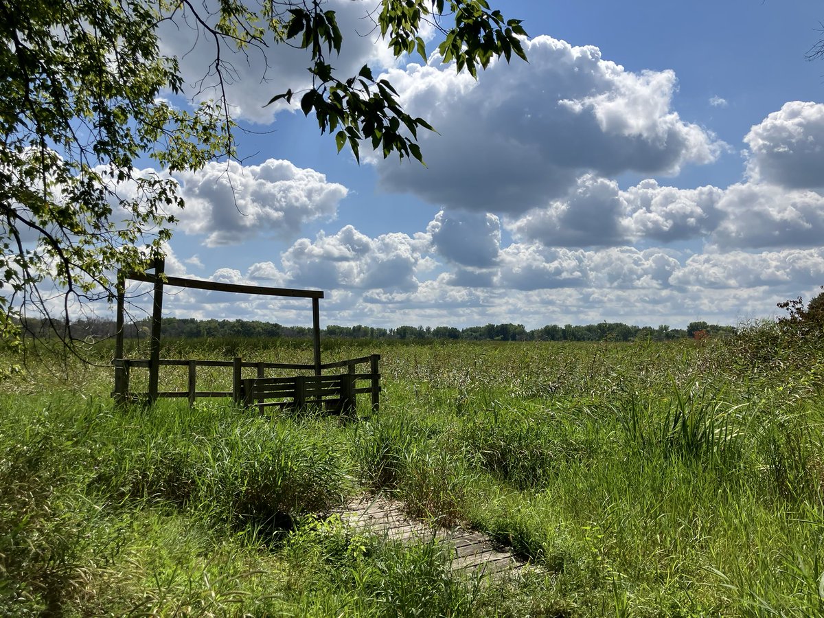Ignisfox1's tweet image. Quiet walk around 

#minnesota #mnsummer #summer #getoutside