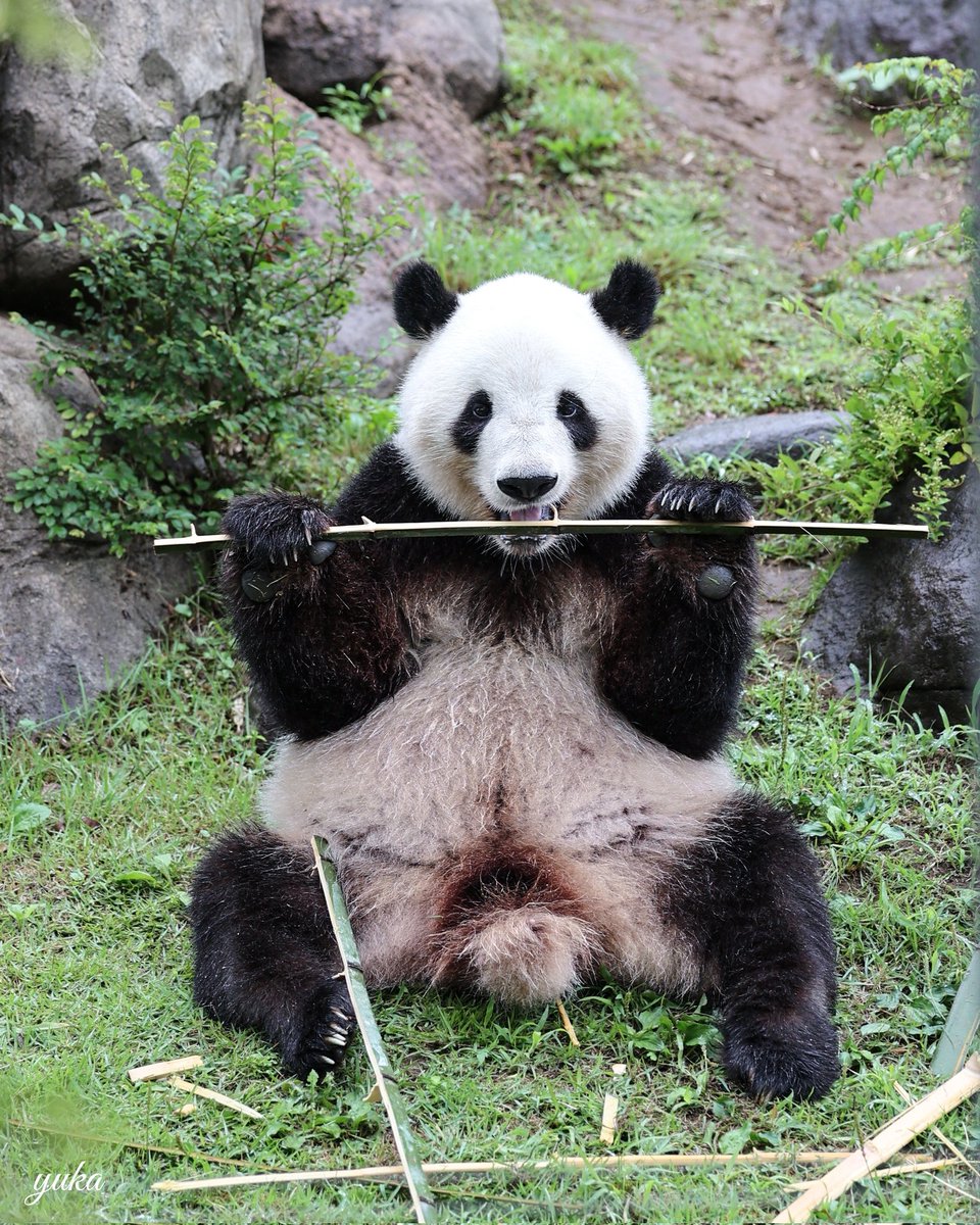 ゆかたん (@yu_ka7493) / X