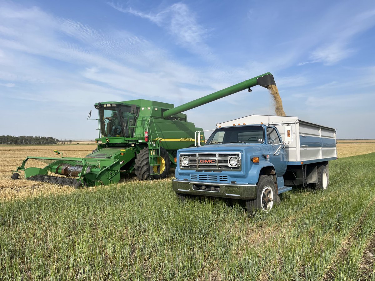 Jason Lindgren 🧢 tweet media