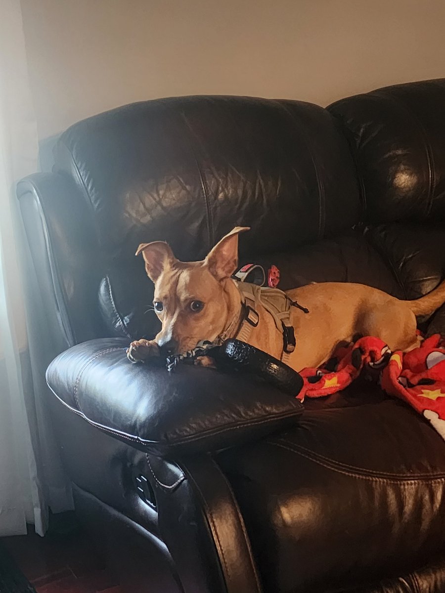 jennifer tweet media