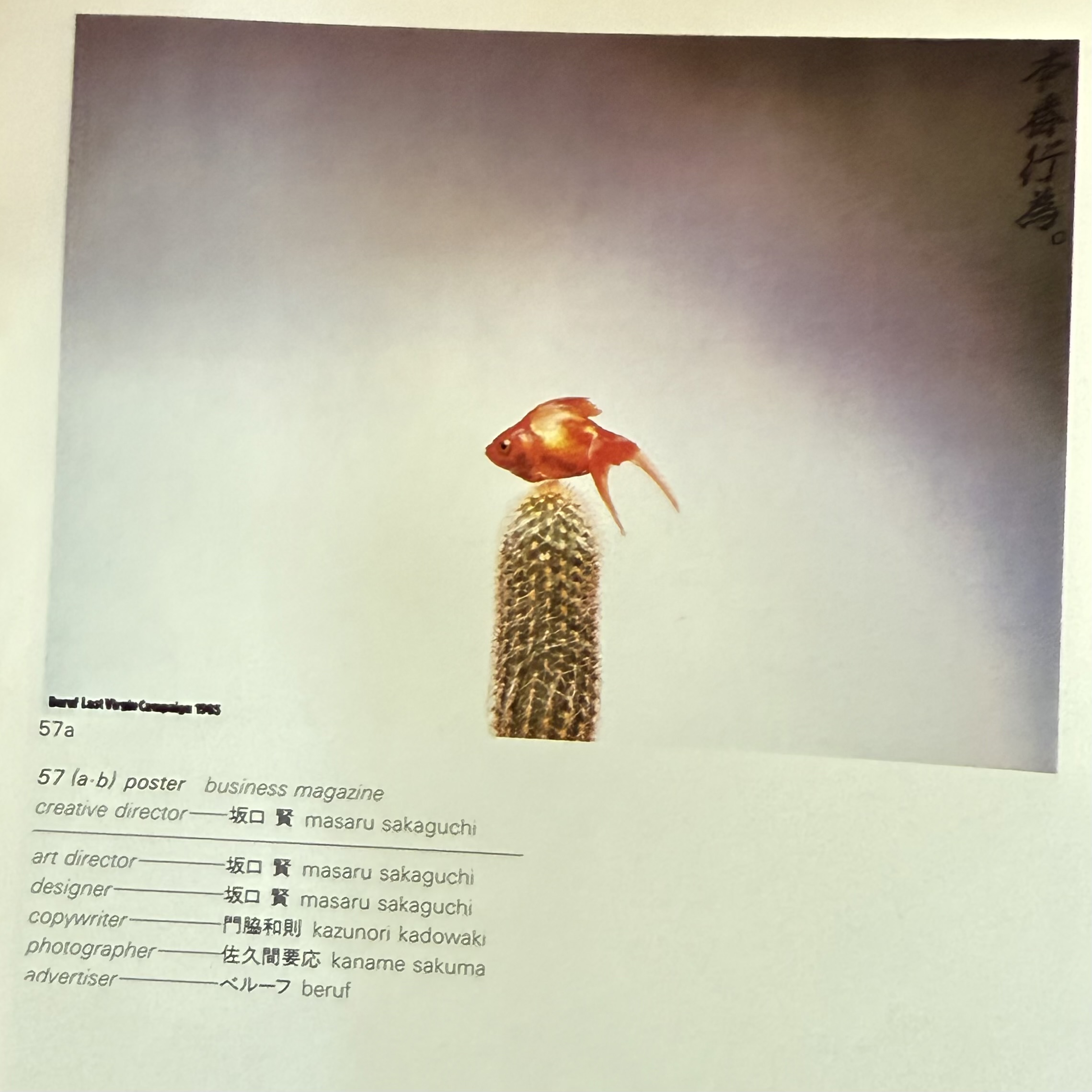 まさきページ サカグチケンbot on X: 