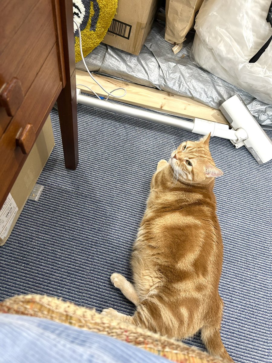yamachan_mxsxm's tweet image. 部下の見張りは交代制らしいです。横領疑ってる？
#ザ森東