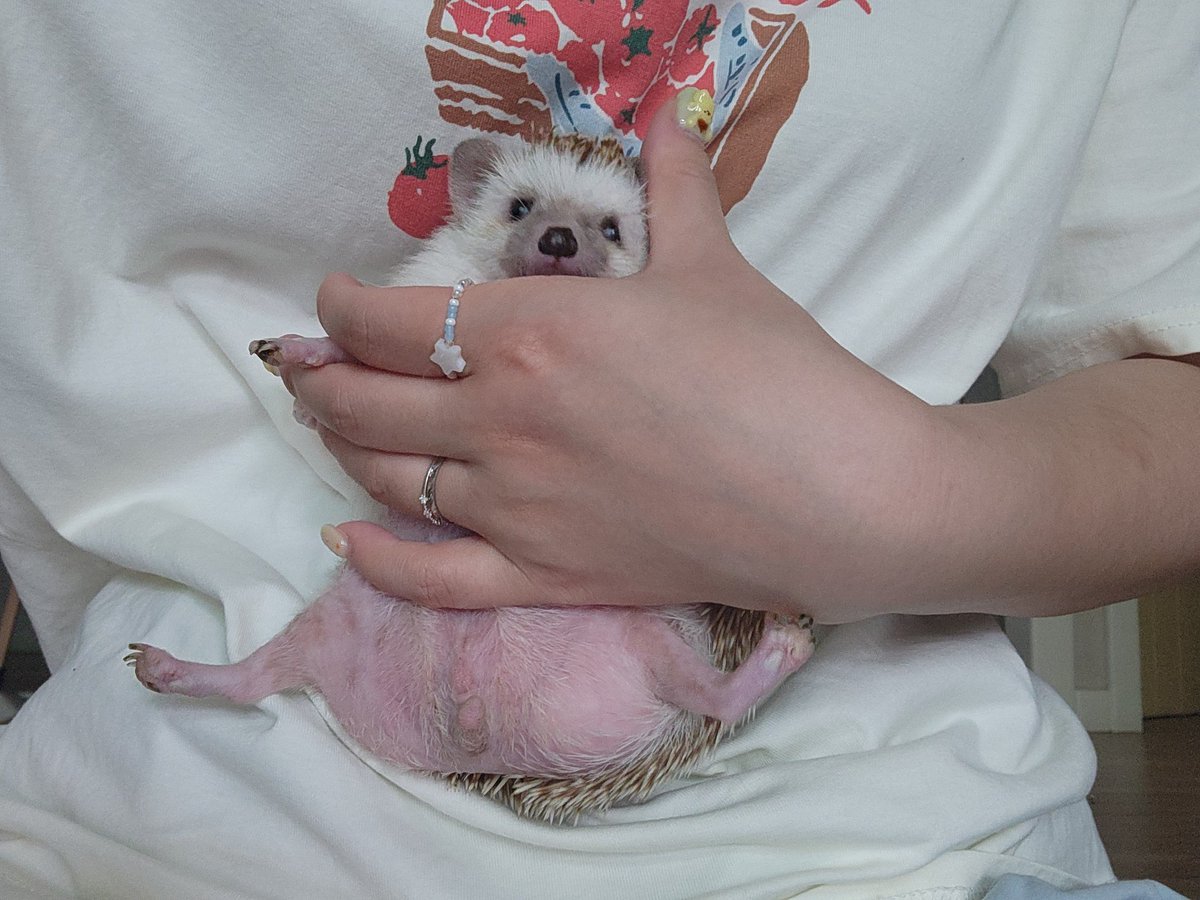 인간 시러잇 놔 라 !!!! (통통)