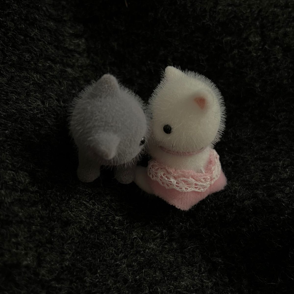 only cute things (@cutedreamvibes) on Twitter photo 