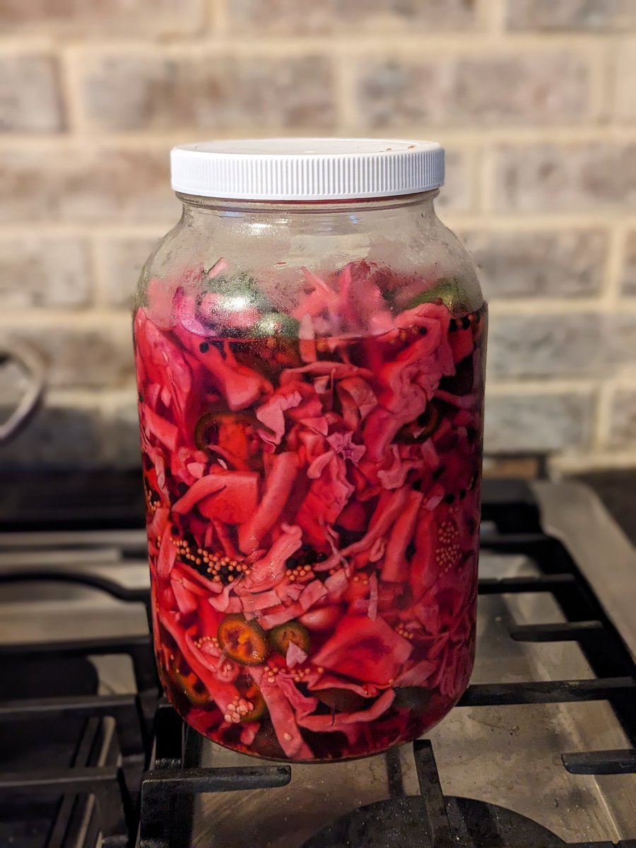 Highly recommend anyone make their own pickled veggies. Big jug of red cabbage and jalapenos was about 2 bucks to make.