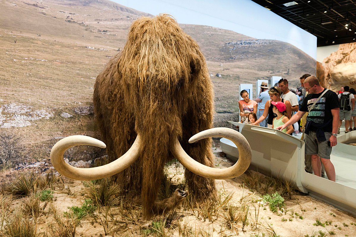 loopet_X's tweet photo. The tundra settles as mammoth herds vanish into legend. Tomorrow brings wiggles, wiggles, and more wiggles.
#loopetTG #loopet #animal #web3 #solana #saveanimal #permweb https://t.co/sigZ9gCvF3