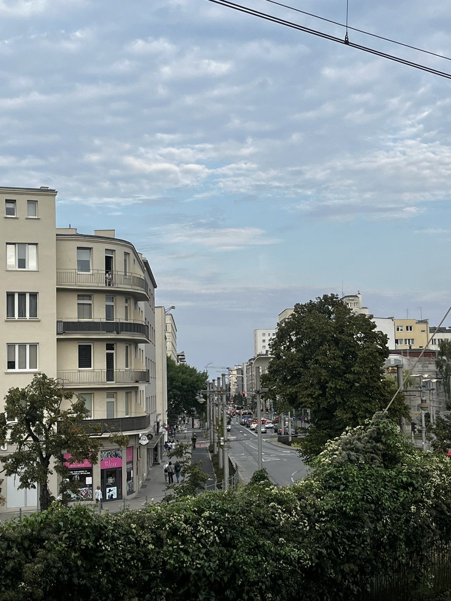 999scan's tweet image. polan