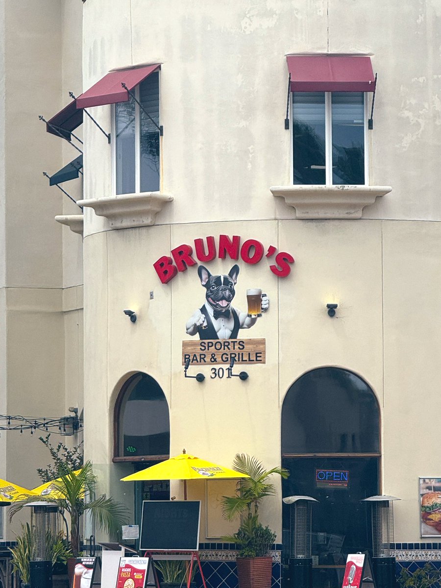 BrunoBBSquirrel's tweet image. this you? @BrunoMars 👀