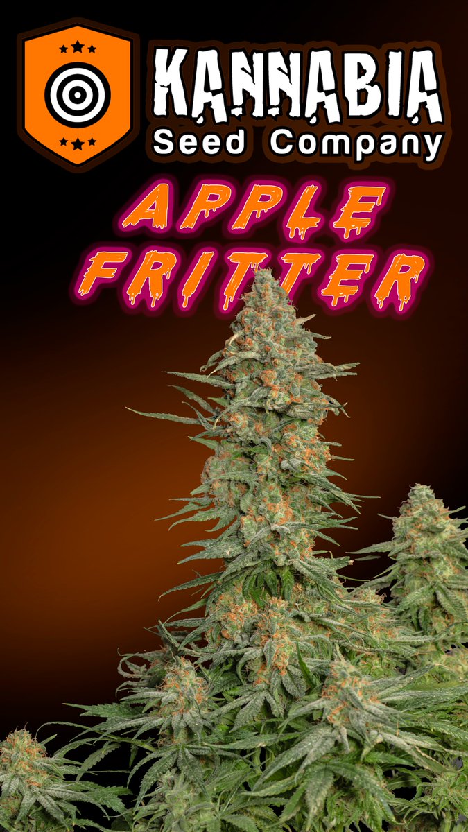 Greenseedtests's tweet image. Apple Fritter
@KannabiaSeeds
@IntKannabia
@JuanKannabia