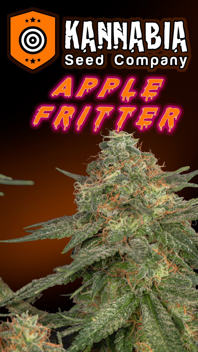Greenseedtests's tweet image. Apple Fritter
@KannabiaSeeds
@IntKannabia
@JuanKannabia