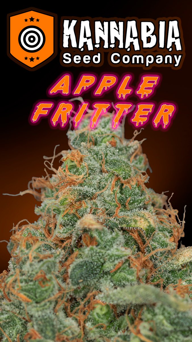 Greenseedtests's tweet image. Apple Fritter
@KannabiaSeeds
@IntKannabia
@JuanKannabia