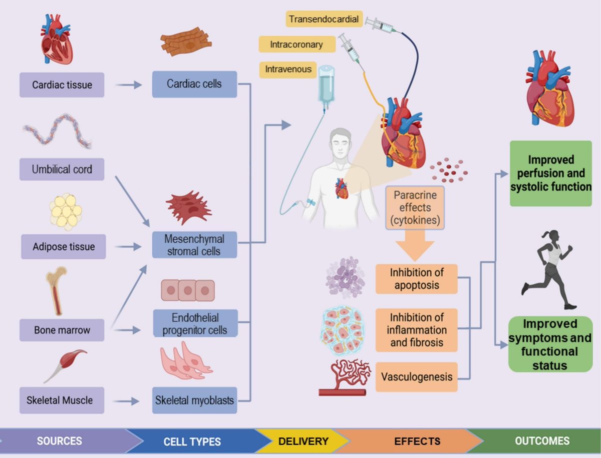 Progress in Cardiovascular Diseases (@pcvdjournal) on Twitter photo Cell therapy for heart failure -recent progress and future directions sciencedirect.com/science/articl…
<a href="/DineshKalra/">Dinesh Kalra, MD</a> <a href="/JavedButler1/">Javed Butler</a> Cell therapy for heart failure -recent progress and future directions sciencedirect.com/science/articl…
<a href="/DineshKalra/">Dinesh Kalra, MD</a> <a href="/JavedButler1/">Javed Butler</a>
