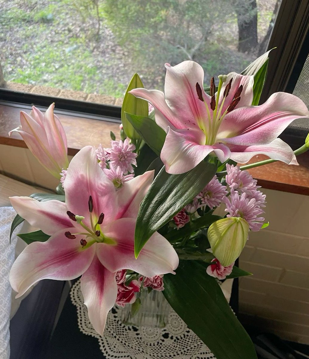 Lilies