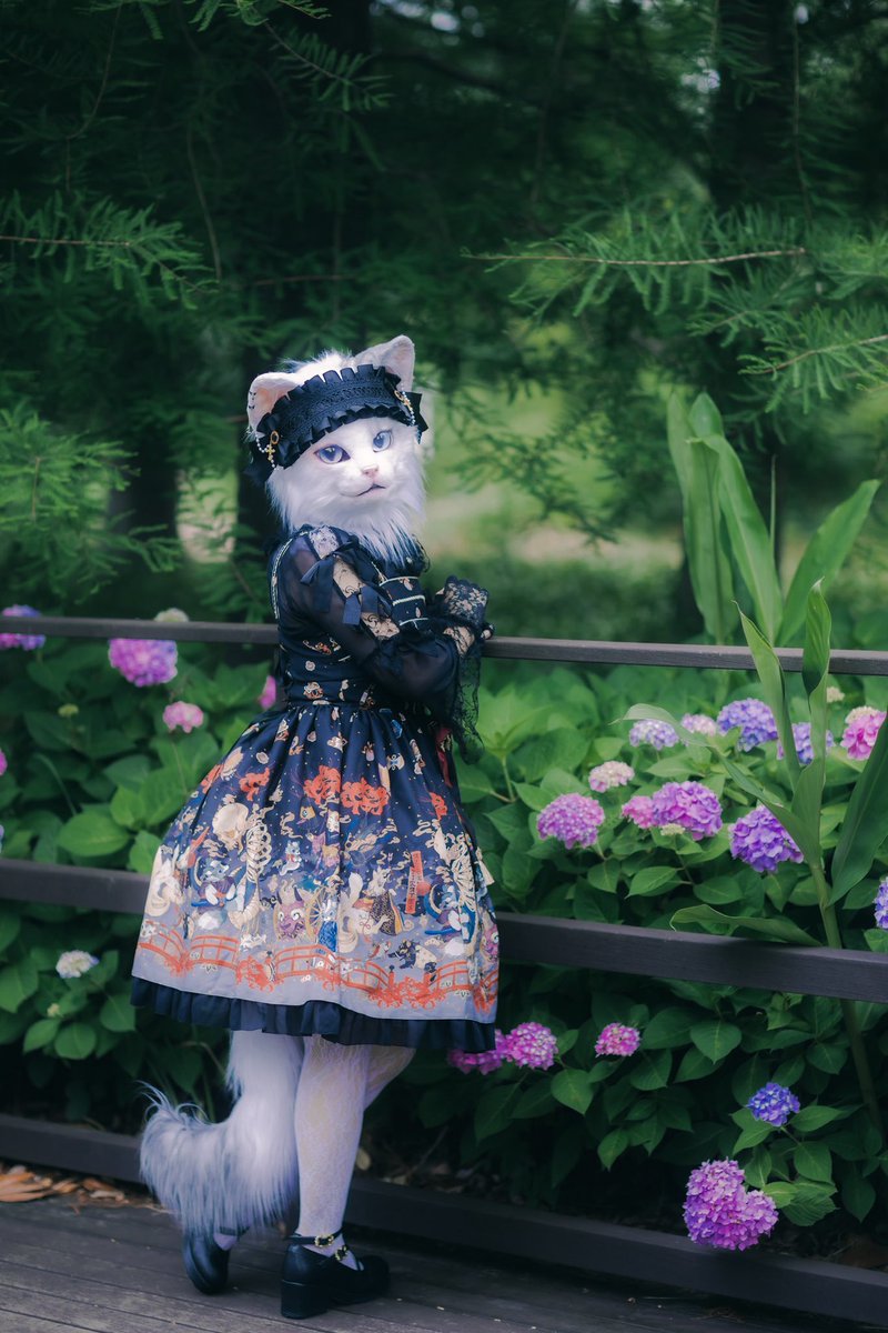 #FursuitFriday
#創造トリアノン 

💙💜

📸<a href="/Toxic_Photon/">Toxic Photon</a>