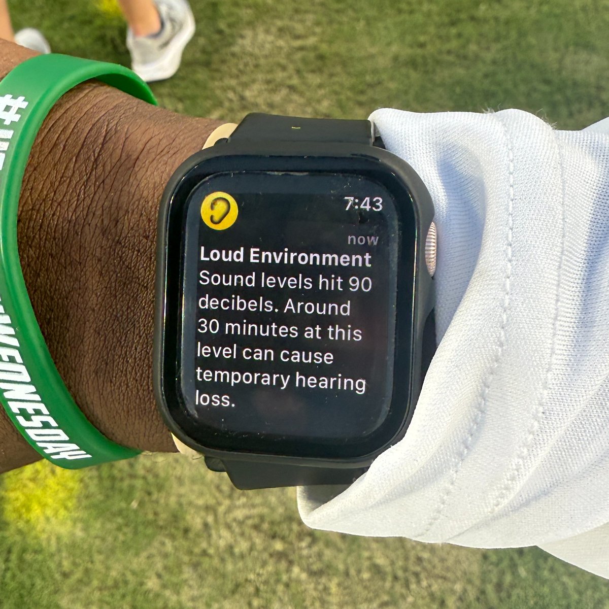 USFAthletics's tweet image. Can confirm: y'all are ROCKING Ray Jay