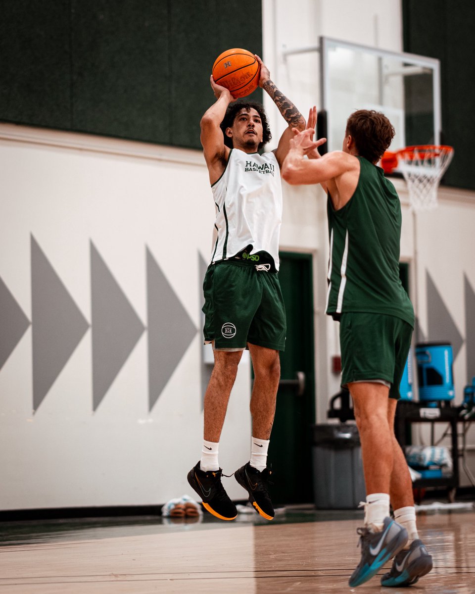 HAWAII BASKETBALL tweet media