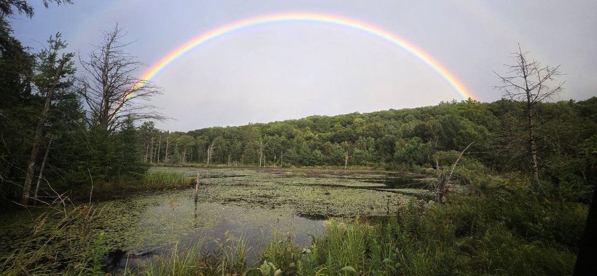 The Bridge to the Harmonic Civilization is coherence.

Be the Promise.