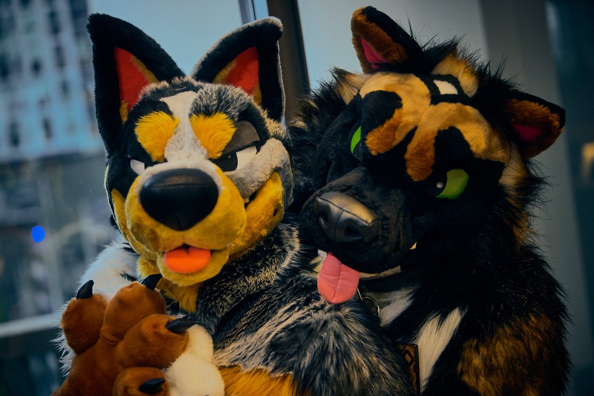 it's almost the weekend... please select which dog you'll be taking?

or maybe both..?