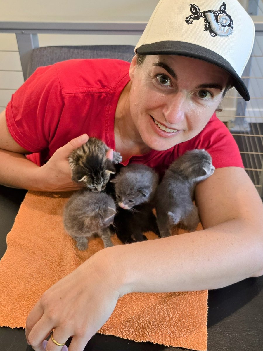 Andrea Burkhart 🐟🐟🐟🐟🏴☠️ tweet media