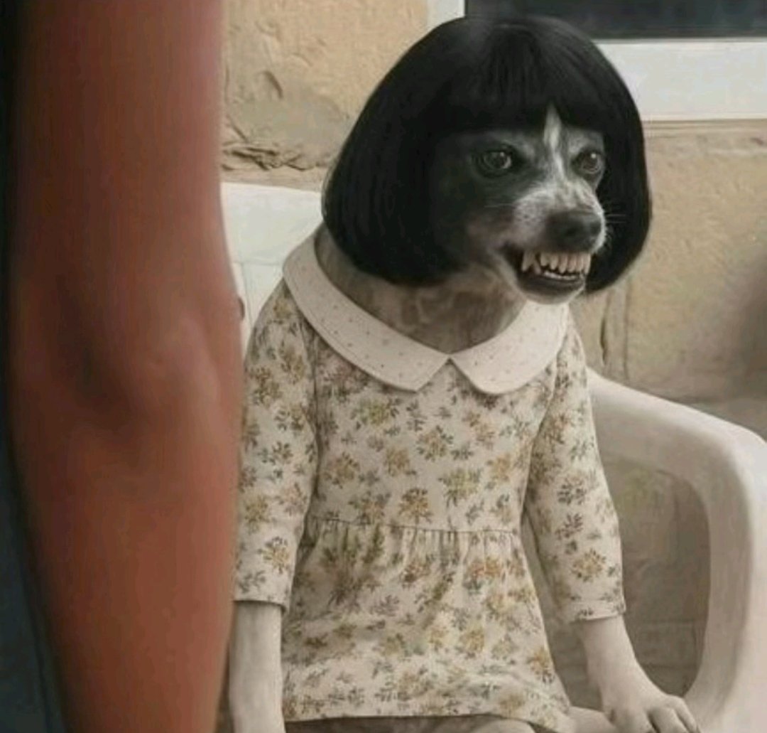 iti malias (@itimaliasof) on Twitter photo 