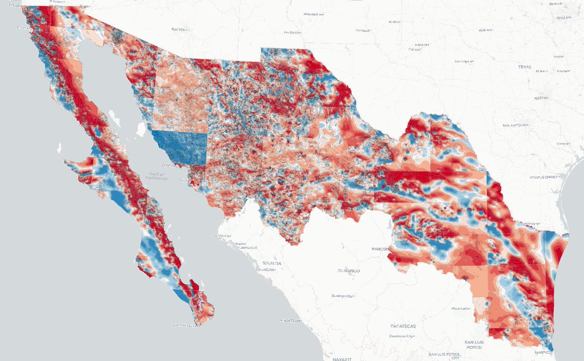 Irving MA tweet media